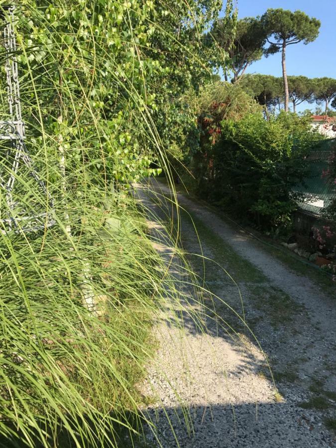 Villa Ancora bilocale Marina di Massa Exterior foto
